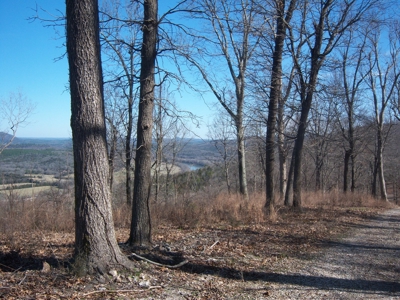 Mountain View Lots - image 1