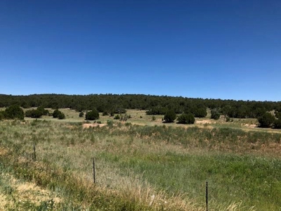 Edgewood New Mexico 79.94 Acres, Wooded Land For Sale - image 8