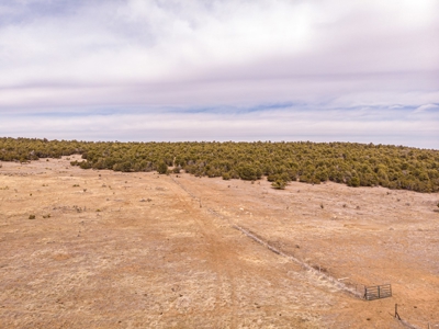 Edgewood, New Mexico 192.17 Acres Wooded with Metal Shop - image 9