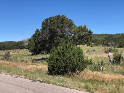 Edgewood, New Mexico 192.17 Acres Wooded with Metal Shop - image 21