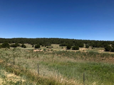 Edgewood, New Mexico 192.17 Acres Wooded with Metal Shop - image 17