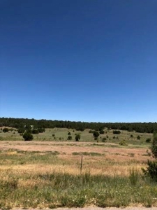 Edgewood, New Mexico 192.17 Acres Wooded with Metal Shop - image 29