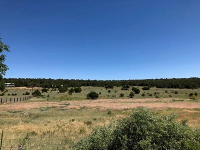 Edgewood, New Mexico 192.17 Acres Wooded with Metal Shop - image 18