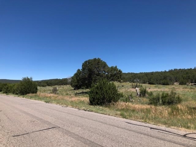 Edgewood, New Mexico 192.17 Acres Wooded with Metal Shop - image 26