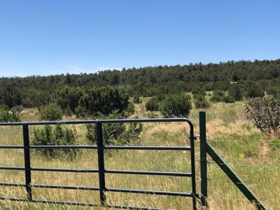 Edgewood, New Mexico 192.17 Acres Wooded with Metal Shop - image 23