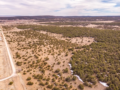 Edgewood, New Mexico 192.17 Acres Wooded with Metal Shop - image 1