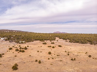 Edgewood, New Mexico 192.17 Acres Wooded with Metal Shop - image 16