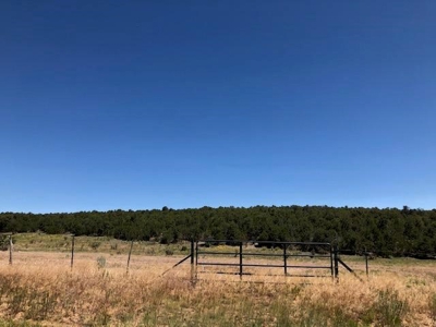 Edgewood, New Mexico 192.17 Acres Wooded with Metal Shop - image 25