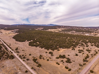 Edgewood, New Mexico 192.17 Acres Wooded with Metal Shop - image 12