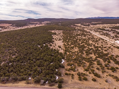 Edgewood, New Mexico 192.17 Acres Wooded with Metal Shop - image 8