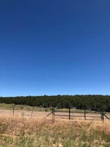 Edgewood, New Mexico 192.17 Acres Wooded with Metal Shop - image 27