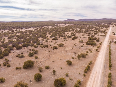 Edgewood, New Mexico 192.17 Acres Wooded with Metal Shop - image 6