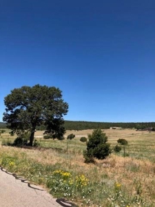 Edgewood, New Mexico 192.17 Acres Wooded with Metal Shop - image 22