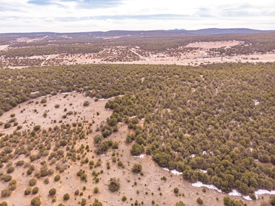 Edgewood, New Mexico 192.17 Acres Wooded with Metal Shop - image 3