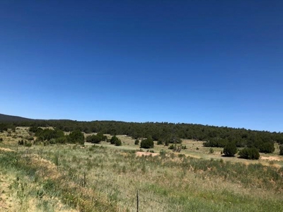 Edgewood, New Mexico 192.17 Acres Wooded with Metal Shop - image 28