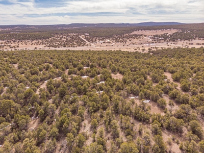 Edgewood, New Mexico 192.17 Acres Wooded with Metal Shop - image 5