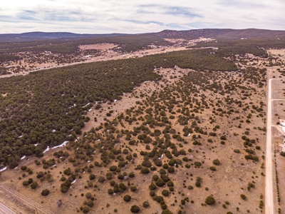 Edgewood, New Mexico 192.17 Acres Wooded with Metal Shop - image 13