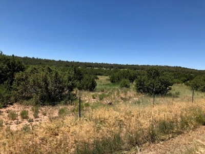Edgewood, New Mexico 192.17 Acres Wooded with Metal Shop - image 30