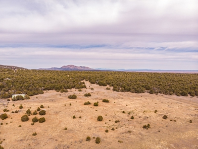 Edgewood, New Mexico 192.17 Acres Wooded with Metal Shop - image 15
