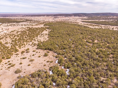 Edgewood, New Mexico 192.17 Acres Wooded with Metal Shop - image 2