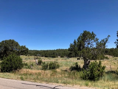 Edgewood, New Mexico 192.17 Acres Wooded with Metal Shop - image 19