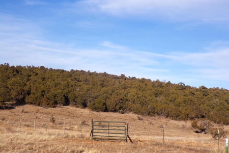 Edgewood, New Mexico 192.17 Acres Wooded with Metal Shop - image 34
