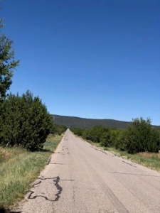 Edgewood, New Mexico 192.17 Acres Wooded with Metal Shop - image 20
