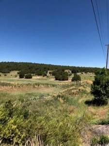 Edgewood, New Mexico 192.17 Acres Wooded with Metal Shop - image 24