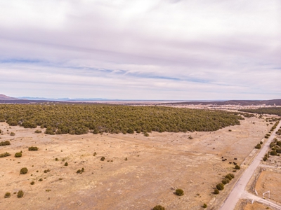 Edgewood, New Mexico 192.17 Acres Wooded with Metal Shop - image 11