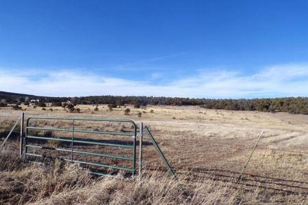 Edgewood, New Mexico 192.17 Acres Wooded with Metal Shop - image 35