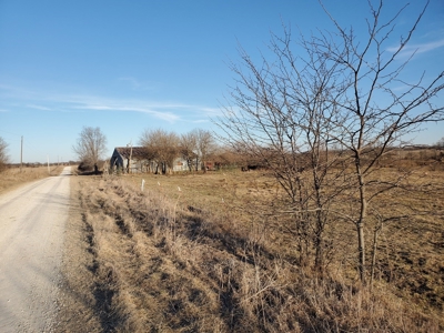 Northeast Missouri Pasture Farm - image 4