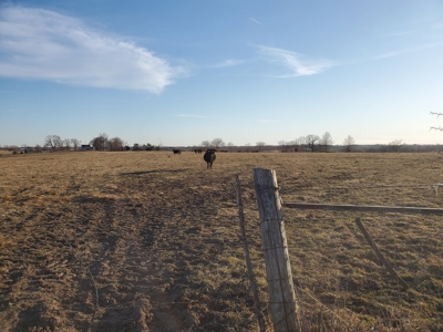 Northeast Missouri Pasture Farm - image 2