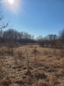 Northeast Missouri Pasture Farm - image 10