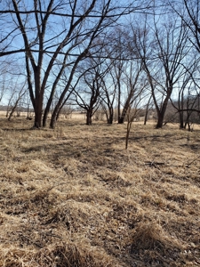 Northeast Missouri Pasture Farm - image 15