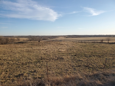 Northeast Missouri Pasture Farm - image 5
