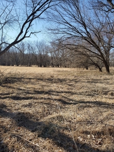 Northeast Missouri Pasture Farm - image 14