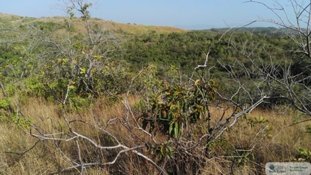 25 Hectare Farm Land For Sale In El Cristo Aguadulce Cocle - image 12
