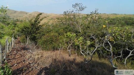 25 Hectare Farm Land For Sale In El Cristo Aguadulce Cocle - image 1