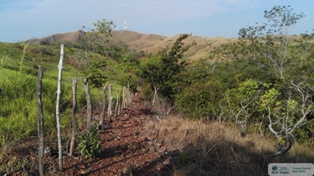 25 Hectare Farm Land For Sale In El Cristo Aguadulce Cocle - image 13