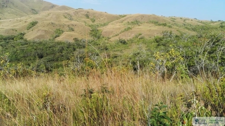 25 Hectare Farm Land For Sale In El Cristo Aguadulce Cocle - image 15