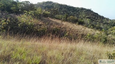 25 Hectare Farm Land For Sale In El Cristo Aguadulce Cocle - image 5