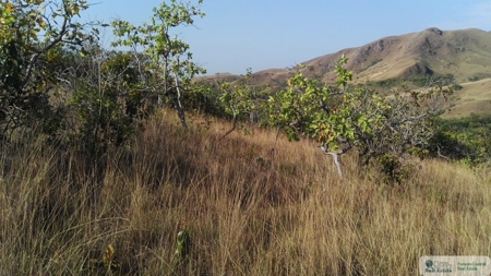 25 Hectare Farm Land For Sale In El Cristo Aguadulce Cocle - image 4