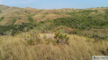 25 Hectare Farm Land For Sale In El Cristo Aguadulce Cocle - image 9