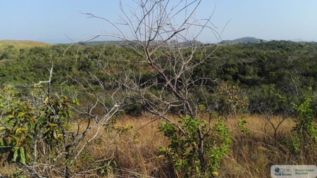 25 Hectare Farm Land For Sale In El Cristo Aguadulce Cocle - image 3