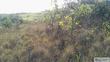 25 Hectare Farm Land For Sale In El Cristo Aguadulce Cocle - image 6