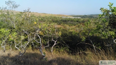 25 Hectare Farm Land For Sale In El Cristo Aguadulce Cocle - image 2