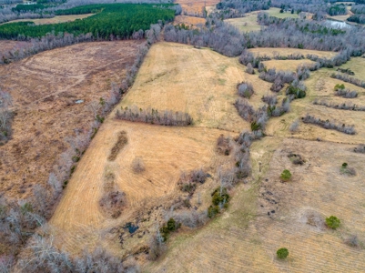 Welcome To Havenwood, Kerr Lake,  Granville County NC - image 31