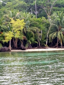 Titled Beachfront Lot, Close to Bocas Town, Isla Carenero - image 6