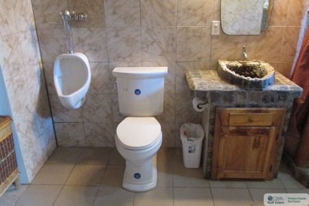 House For Sale Or Rent In Cambutal Panama *Sold* - image 7