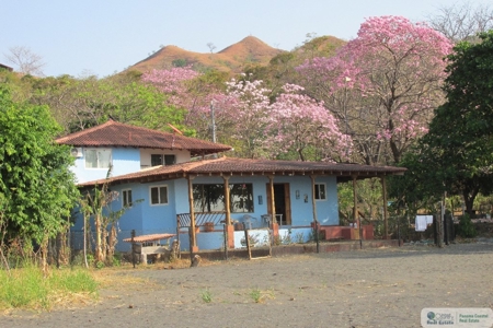 House For Sale Or Rent In Cambutal Panama *Sold* - image 31
